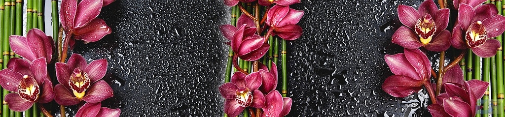 npn071.jpg