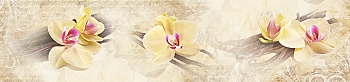 npn072.jpg
