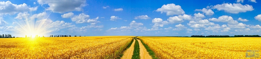 nw17205.jpg