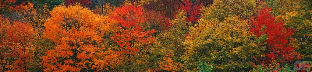 nw17247.jpg