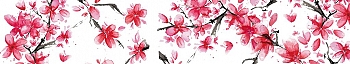 NCF_0071_.jpg