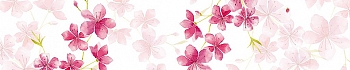 NCF_0080_.jpg