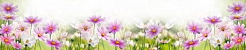 NCF_0085_.jpg