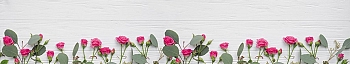 NCF_0086_.jpg