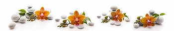 NCF_0087_.jpg