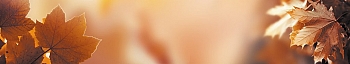 NCN_0075_.jpg