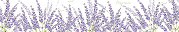 NCP_0072_.jpg