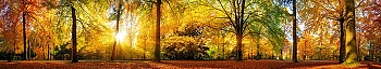 NCPr_0014_.jpg