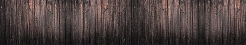 NCT_0031_.jpg