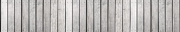NCT_0040_.jpg