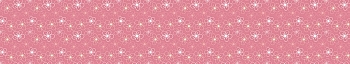 NC_0066_.jpg
