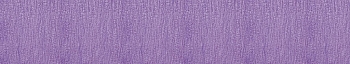NC_0077_.jpg