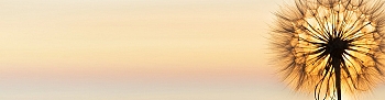 nw17297.jpg