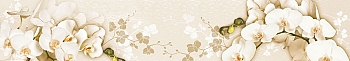 nw17364.jpg