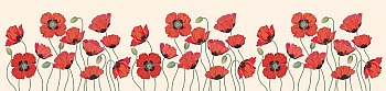 nw17513.jpg