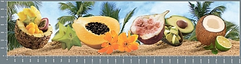 sg0663.jpg