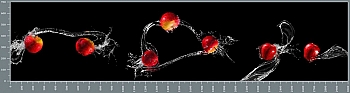sg1046.jpg