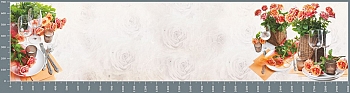 sg1099.jpg