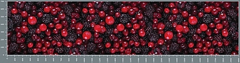 sg1103.jpg