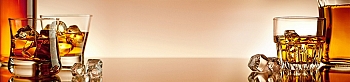 sse83.jpg