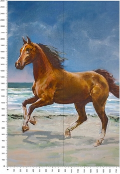 C0228.jpg