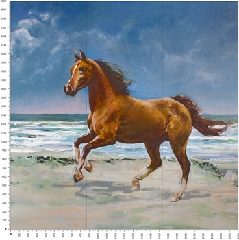 C0229.jpg