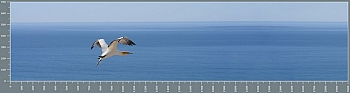 sg0675.jpg