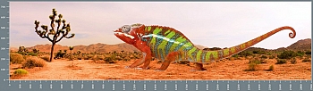 sg0689.jpg
