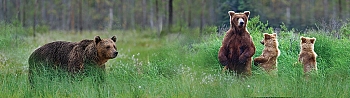 ssg017.jpg