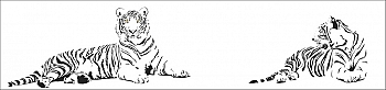 ssg035.jpg