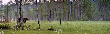ssg048.jpg