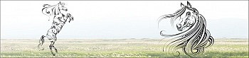 ssg062.jpg