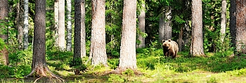 ssg068.jpg
