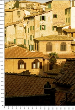 C0097.jpg