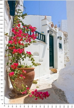 C0123.jpg