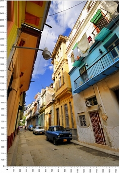 C0133.jpg