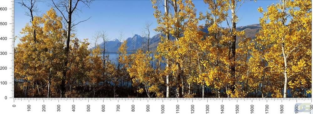 priroda_115.jpg