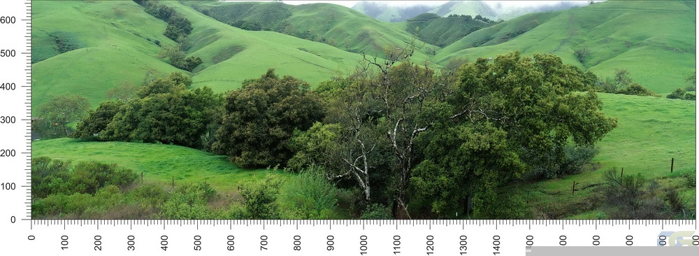 priroda_120.jpg