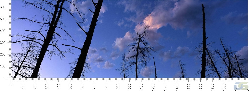 priroda_146.jpg