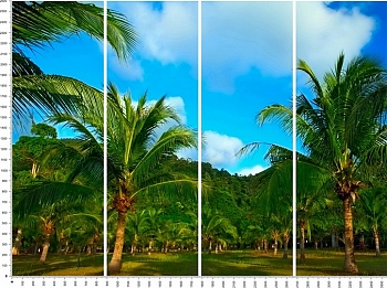C0009.jpg