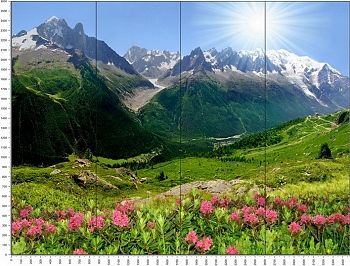 C0400.jpg