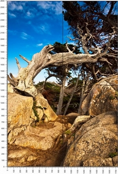 C0497.jpg
