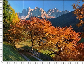 C0779.jpg