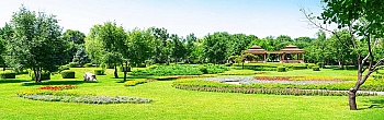 prd1712.jpg