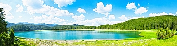 prd1718.jpg