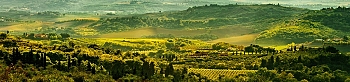 prd1769.jpg