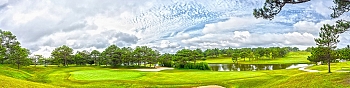 prd1771.jpg