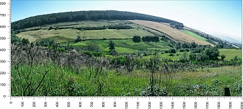 priroda_1.jpg