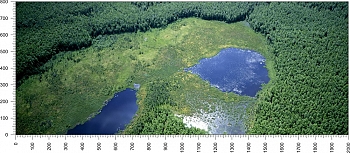 priroda_102.jpg
