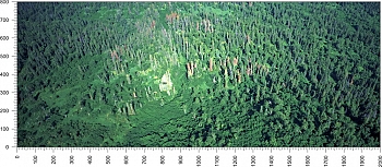 priroda_103.jpg